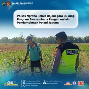 Polsek Ngraho Polres Bojonegoro Dukung Program Swasembada Pangan melalui Pendampingan Petani Jagung